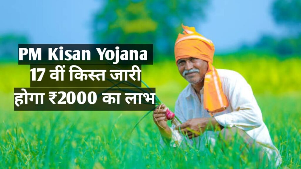 PM Kisan Yojana 17वीं किस्त की उम्मीद, इस बार जानें कौन होगा फायदे में और कौन किसान होंगे बाहर