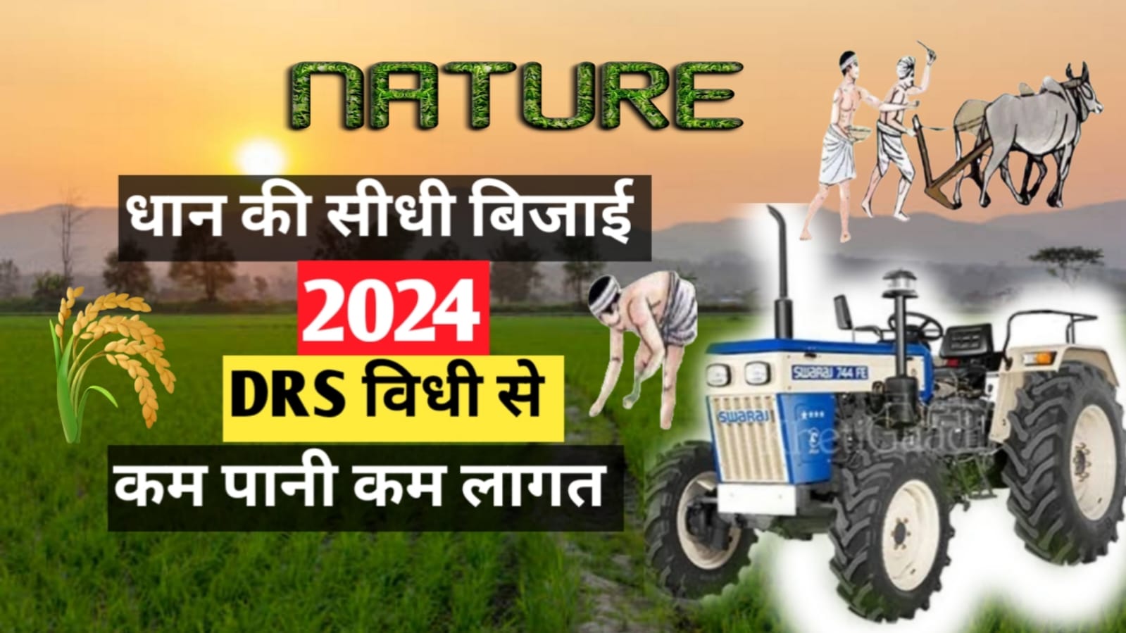 Dhaan Ki Sidhi Bijai 2024 DSR विधि से धान की खेती धान की सीधी बिजाई, Good DSR Method, Direct Seeding of Rice