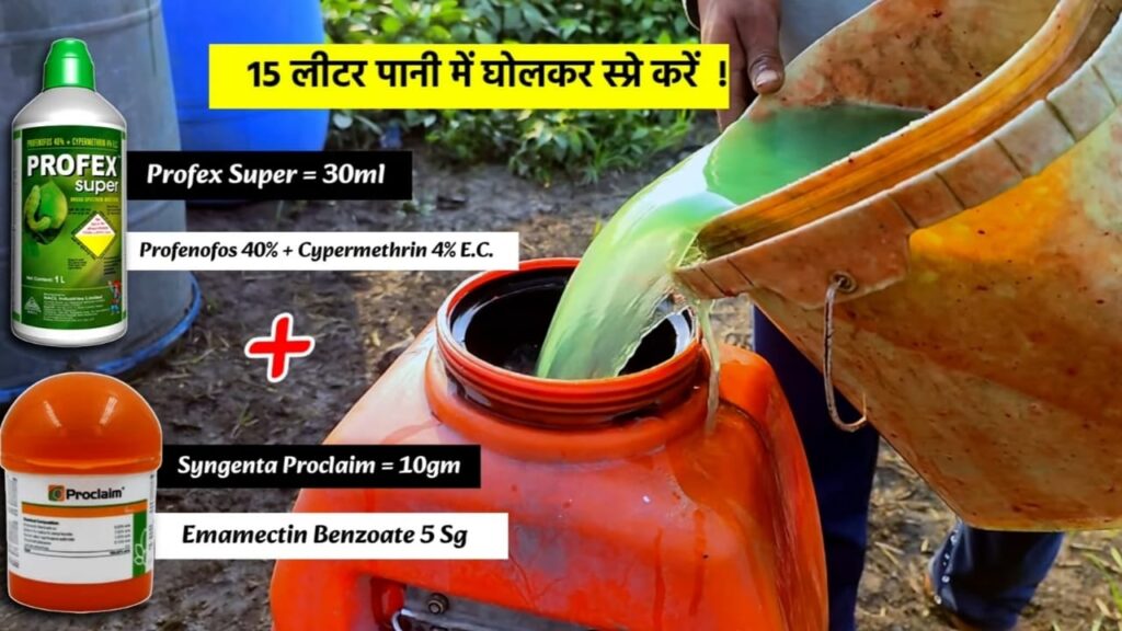 Moong Ki Kheti फल्ली छेदक की अर्जंट दवाई Moong Me Fruit Borer Ki No.1 Strong Dawai मूंग इल्ली मार दवाई