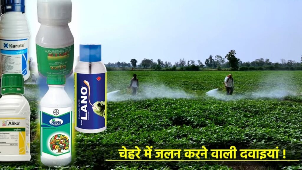 Moong Ki Kheti फल्ली छेदक की अर्जंट दवाई Moong Me Fruit Borer Ki No.1 Strong Dawai मूंग इल्ली मार दवाई