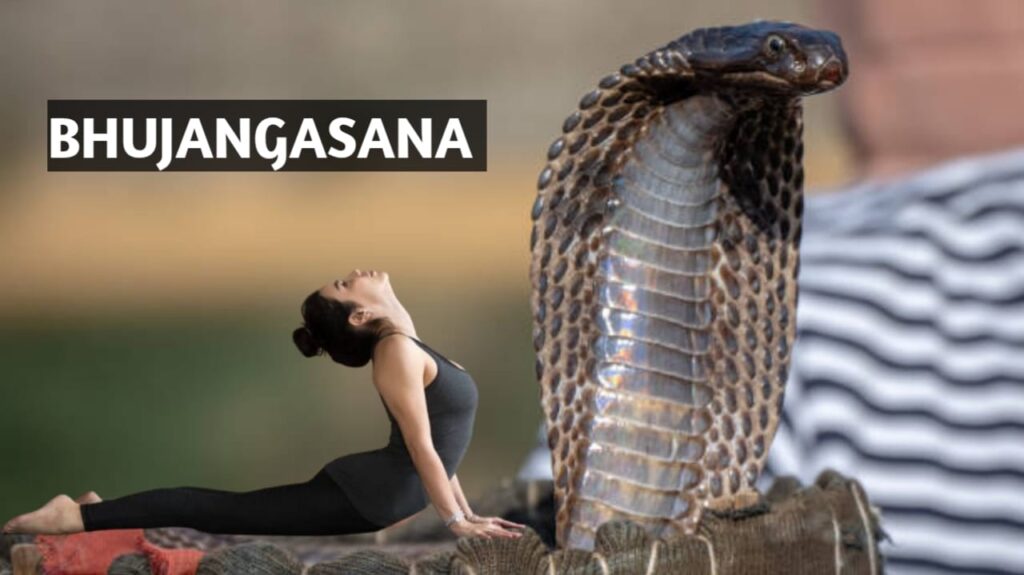 Bhujangasana is Derived From भुजंगासन - नाम के पीछे का रहस्य