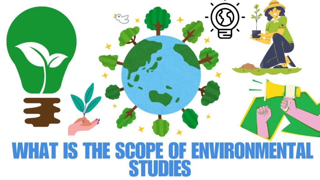 What is The Scope of Environmental Studies