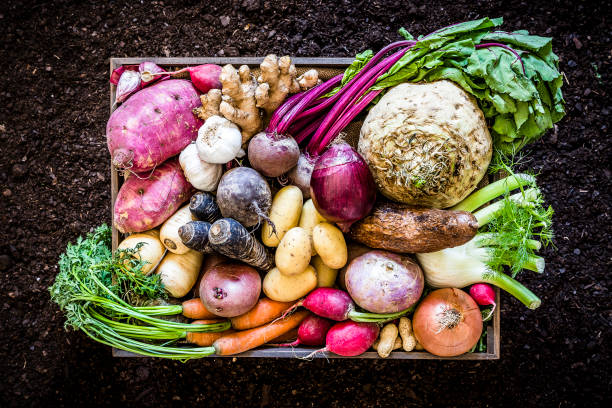 What Can We Eat in Ahoi Fast 2024