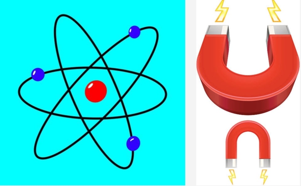 Dr Bhatnagar Contributed To Fundamental Science By