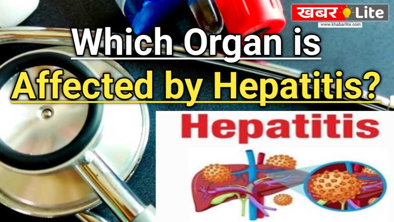 Which Organ is Affected by Hepatitis