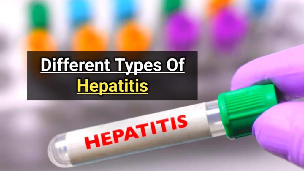 Which Organ is Affected by Hepatitis