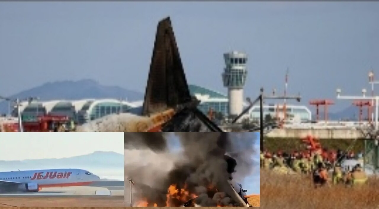 South Korea plane crash Video: विमान रनवेवर उतरताच भिंतीला धडकलं 179 जणांचा मृत्यू धक्कादायक व्हिडिओ व्हायरल