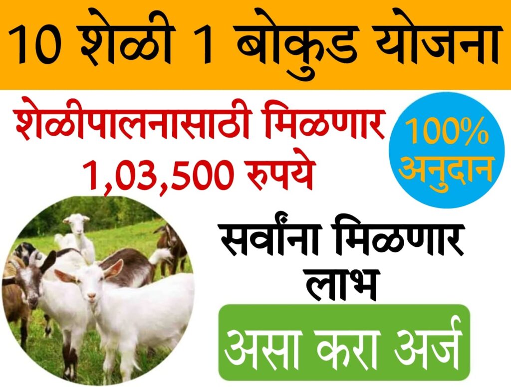 bakri palan yojana​ 2025 महिला बचत गटांना शेळी गट वाटप