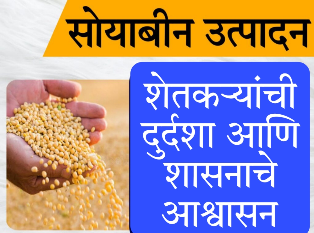 msp procurement 2025 शेतकऱ्यांची दुर्दशा आणि शासनाचे आश्वासन: एक गंभीर विचार!