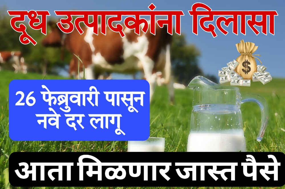 milk cow price दूध उत्पादक शेतकऱ्यांसाठी आनंदाची बातमी! २६ फेब्रुवारीपासून दरवाढ, नवा दर किती? वाचा सविस्तर