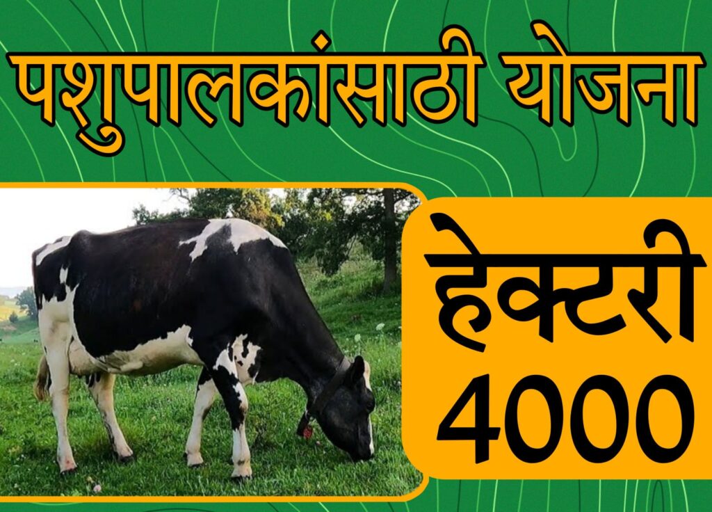 Pashupalan yojana GR : "100% अनुदानावर वैरण बियाणे वाटप योजना सुरू – चारा उत्पादनासाठी मिळणार ₹4000 प्रति हेक्टर"