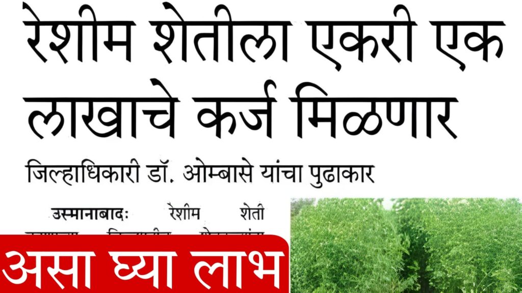 minority business loans​​ 2025 रेशीम उद्योगासाठी कर्ज मिळणार