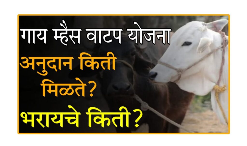 Gay Mhais Vatap Yojana Maharashtra : गाई महैस वाटप योजना 2025 – संपूर्ण माहिती, अनुदान रक्कम आणि अर्ज प्रक्रिया