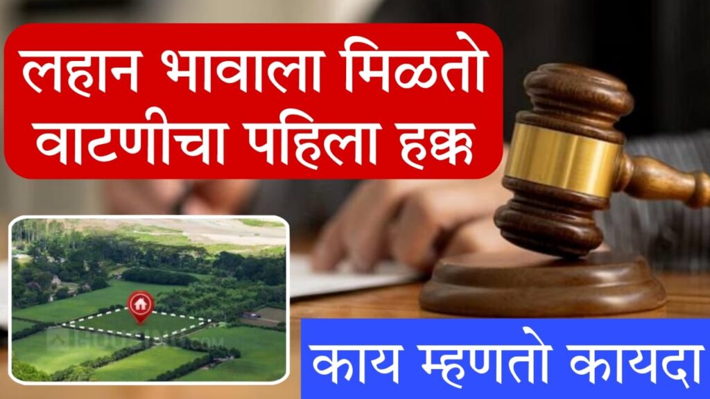 Law of Inheritance 2025 शेतीच्या वाटणीतील लहान भावाला पहिला हक्क मिळतो का?