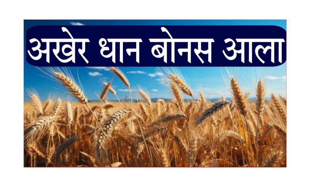 dhan bonus maharashtra 2025 : धान उत्पादक शेतकऱ्यांसाठी ₹२०,००० बोनस २०२५ – वितरण सुरू, पात्रता, जिल्हानिहाय अपडेट